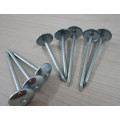 umbrella roofing nails